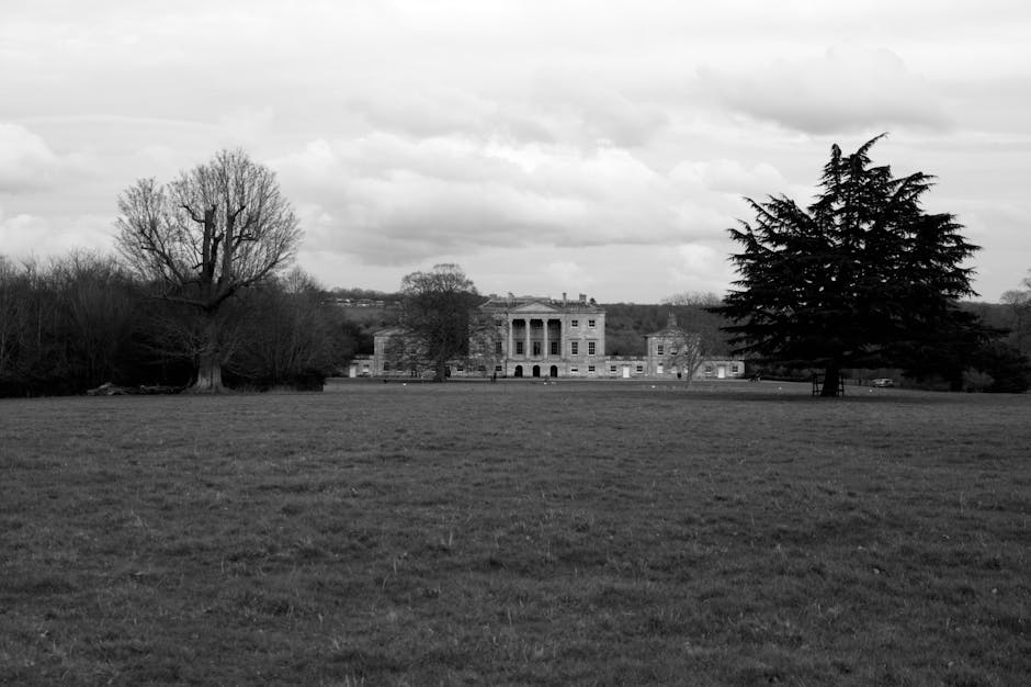 Black and white photograph of a large open lawn area in the foreground, with two prominent trees on either side—one leafless and the other with dense foliage. In the background, a historic manor house with multiple windows, classical architectural features, and symmetrical design is visible, situated behind a line of smaller trees and shrubs. The scene suggests an outdoor setting associated with a historic estate or country house. The sky above is cloudy, and the overall image has a neutral tone, focusing on the landscape and architectural elements. This setting may relate to house removals or estate clearance, illustrating a typical scene encountered during home relocation or property transfer services provided by Man With a Van Manor House, with the manor house serving as a focal point for relocation or furniture transport logistics.