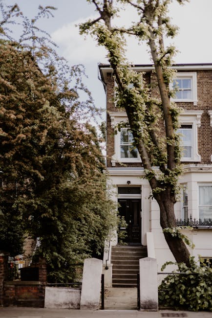 A three-storey Victorian-style house with a brick facade, situated on Seven Sisters Road in Manor House, with a small front yard accessed by a short flight of concrete stairs. The entrance features a black door beneath a white canopy, flanked by white-painted walls. Two large trees with partly leafless branches extend over the house, partially obscuring the upper windows. The foliage around the house includes a mix of green and brown leaves, indicating a transitional season. The pavement in front is bare, and the overall scene is illuminated by natural daylight, highlighting the house's architectural details. This image captures the setting typical for a home relocation or furniture transport process where tight access may be a logistical consideration, as managed by Man With a Van Manor House.