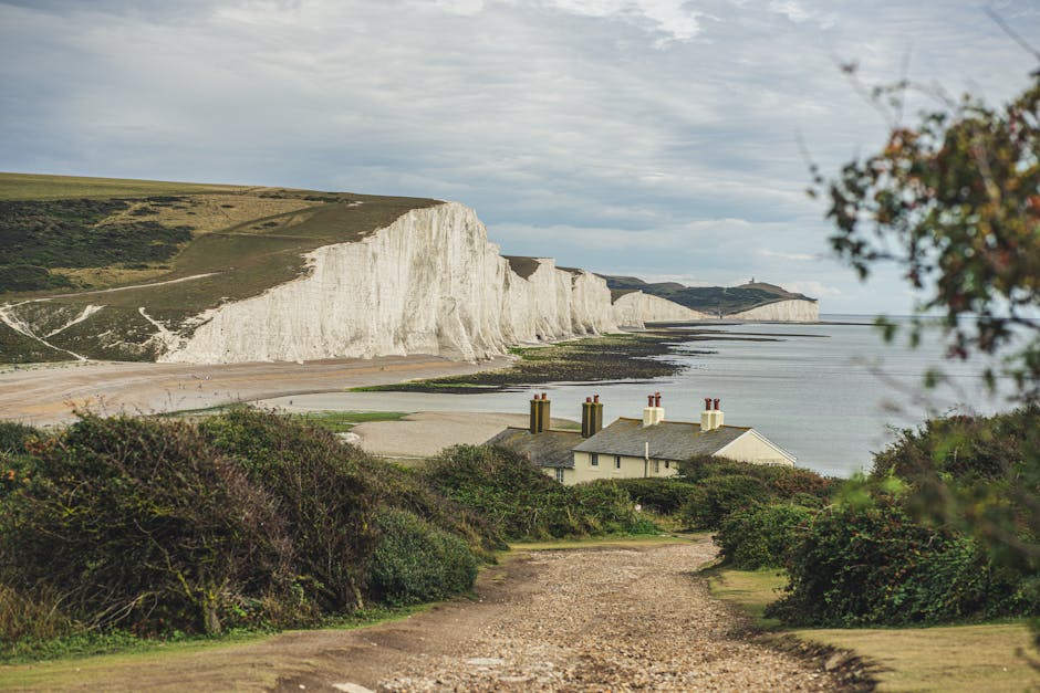 View of the Seven Sisters chalk cliffs along the Sussex coast with a clear sky overhead. In the foreground, a dirt pathway leads towards a small cluster of residential houses with pitched roofs and multiple chimneys, partially obscured by green shrubbery and trees on either side. The pathway appears to be part of a natural walking trail, possibly used during house removals or relocations. Beyond the houses, the coastline extends with a sandy beach and calm waters of the English Channel. The cliffs dominate the background, rising sharply from the shoreline, showcasing their iconic white, layered limestone composition. The scene is well-lit with natural daylight, highlighting the textures of the cliffs, greenery, and buildings. This picturesque landscape is typical of the Sussex area, often related to household moving services requiring careful transport of belongings in a scenic coastal environment, such as those offered by Man With a Van Manor House for home relocations near the Seven Sisters.