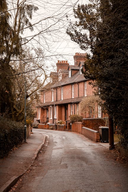 A three-storey Victorian-style house with a brick facade, situated on Seven Sisters Road in Manor House, with a small front yard accessed by a short flight of concrete stairs. The entrance features a black door beneath a white canopy, flanked by white-painted walls. Two large trees with partly leafless branches extend over the house, partially obscuring the upper windows. The foliage around the house includes a mix of green and brown leaves, indicating a transitional season. The pavement in front is bare, and the overall scene is illuminated by natural daylight, highlighting the house's architectural details. This image captures the setting typical for a home relocation or furniture transport process where tight access may be a logistical consideration, as managed by Man With a Van Manor House.